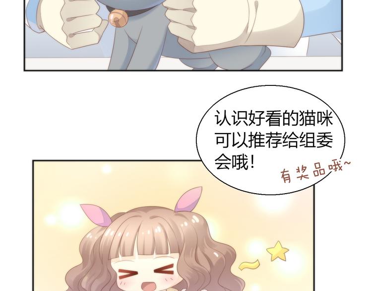 《猫爪之下》漫画最新章节第76话 猫咪选美大赛免费下拉式在线观看章节第【11】张图片