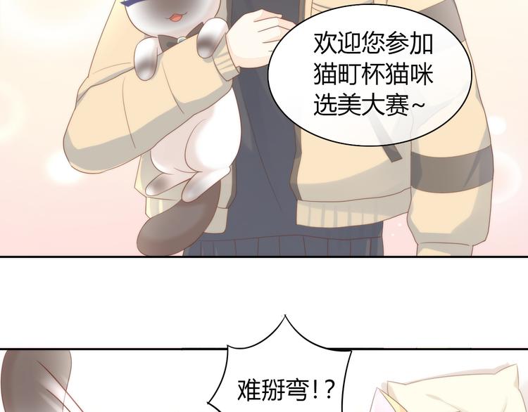 《猫爪之下》漫画最新章节第76话 猫咪选美大赛免费下拉式在线观看章节第【20】张图片