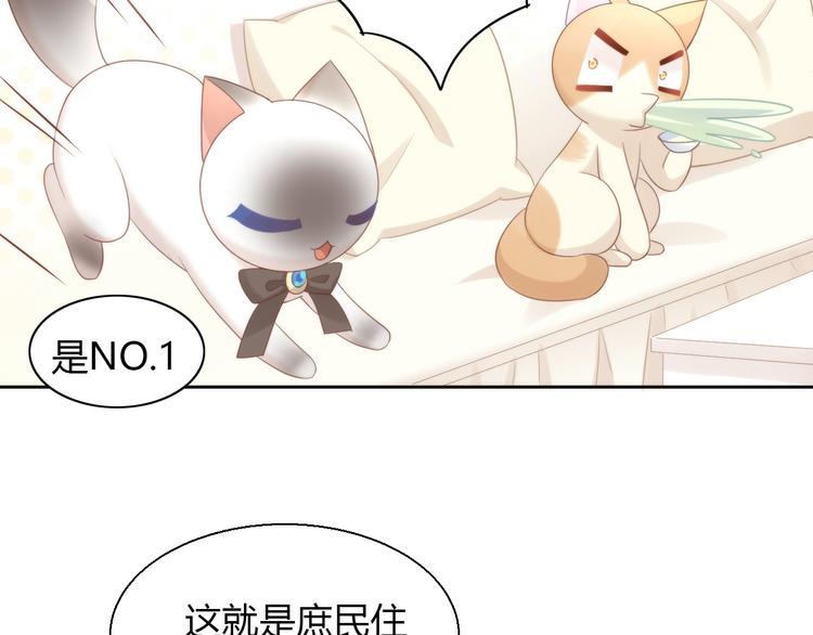 《猫爪之下》漫画最新章节第76话 猫咪选美大赛免费下拉式在线观看章节第【21】张图片