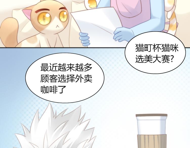 《猫爪之下》漫画最新章节第76话 猫咪选美大赛免费下拉式在线观看章节第【31】张图片