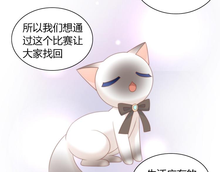 《猫爪之下》漫画最新章节第76话 猫咪选美大赛免费下拉式在线观看章节第【33】张图片