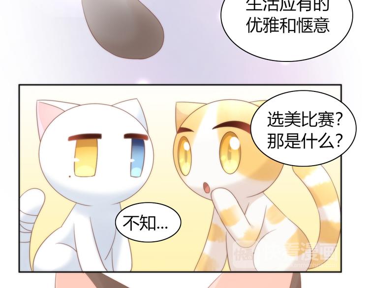 《猫爪之下》漫画最新章节第76话 猫咪选美大赛免费下拉式在线观看章节第【34】张图片