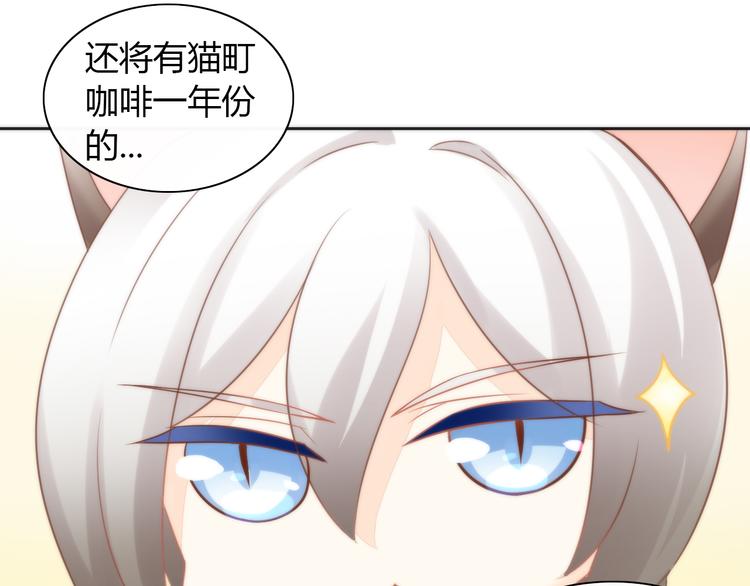 《猫爪之下》漫画最新章节第76话 猫咪选美大赛免费下拉式在线观看章节第【41】张图片