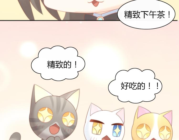 《猫爪之下》漫画最新章节第76话 猫咪选美大赛免费下拉式在线观看章节第【42】张图片