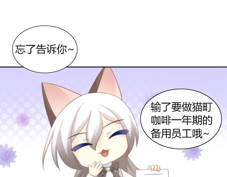 《猫爪之下》漫画最新章节第76话 猫咪选美大赛免费下拉式在线观看章节第【61】张图片