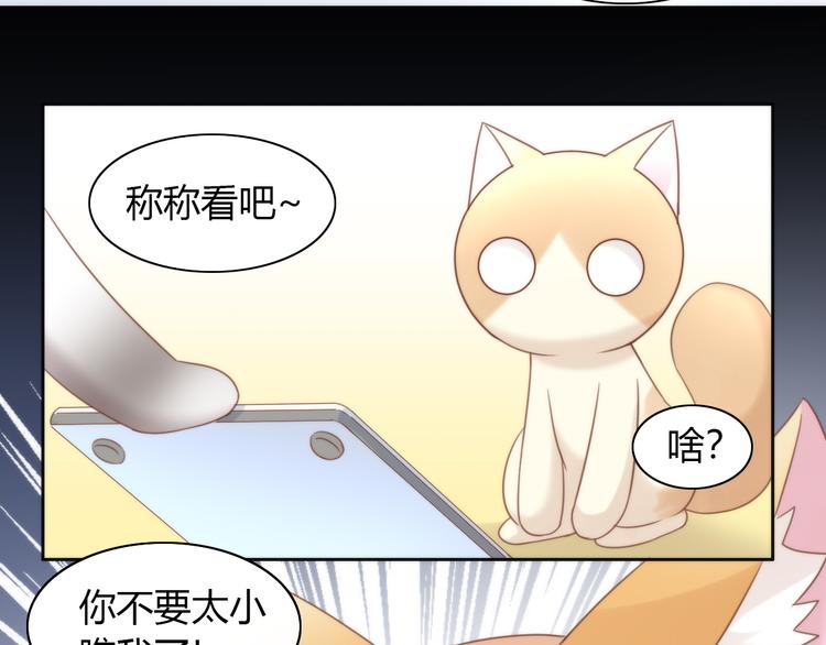 《猫爪之下》漫画最新章节第76话 猫咪选美大赛免费下拉式在线观看章节第【65】张图片