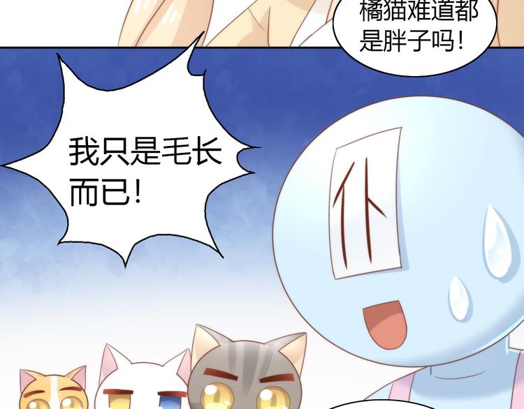 《猫爪之下》漫画最新章节第76话 猫咪选美大赛免费下拉式在线观看章节第【67】张图片