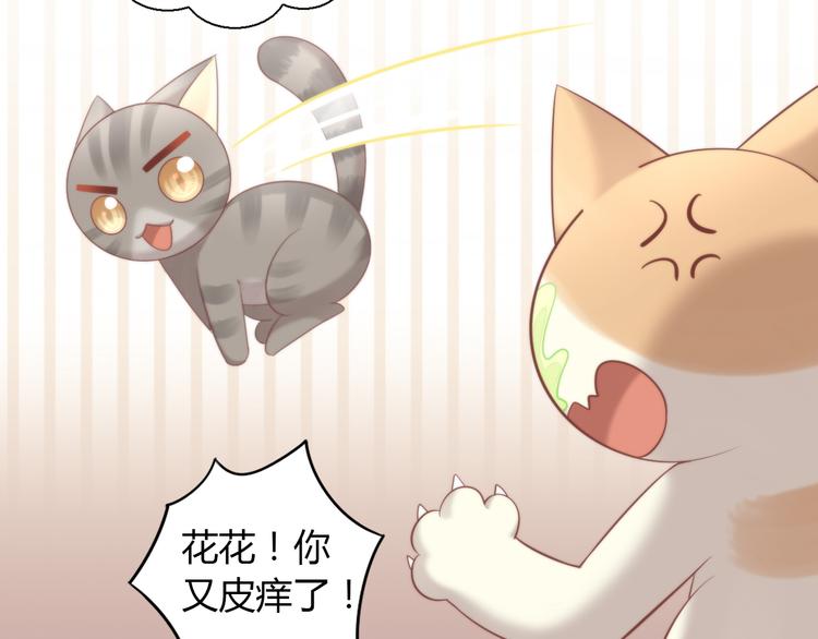 《猫爪之下》漫画最新章节第77话 燃烧你的卡路里免费下拉式在线观看章节第【29】张图片