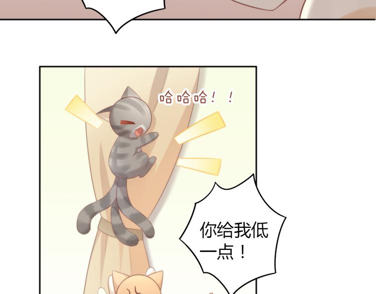 《猫爪之下》漫画最新章节第77话 燃烧你的卡路里免费下拉式在线观看章节第【30】张图片