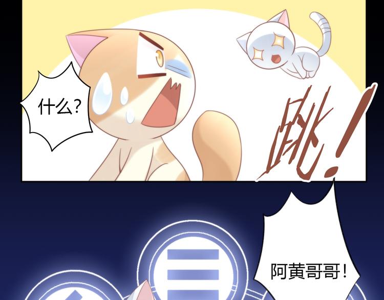 《猫爪之下》漫画最新章节第77话 燃烧你的卡路里免费下拉式在线观看章节第【44】张图片