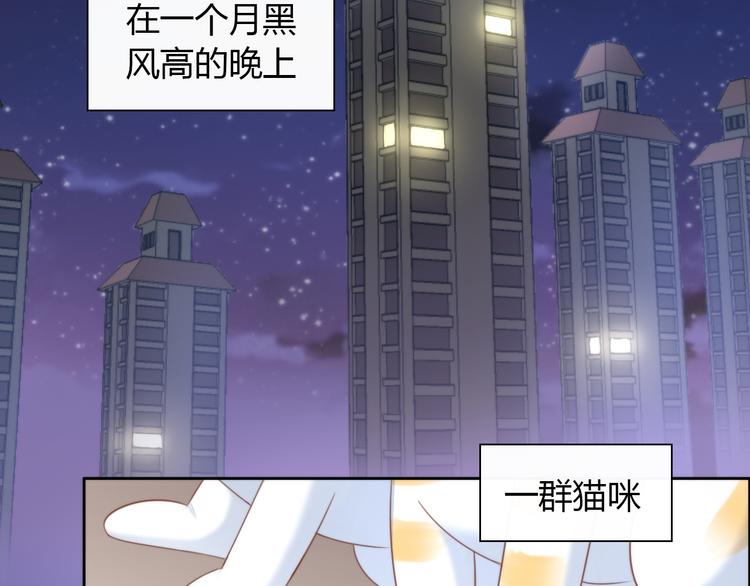 《猫爪之下》漫画最新章节第77话 燃烧你的卡路里免费下拉式在线观看章节第【6】张图片