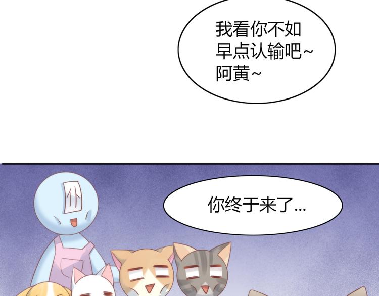 《猫爪之下》漫画最新章节第77话 燃烧你的卡路里免费下拉式在线观看章节第【65】张图片