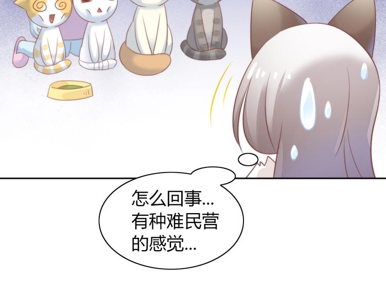 《猫爪之下》漫画最新章节第77话 燃烧你的卡路里免费下拉式在线观看章节第【66】张图片