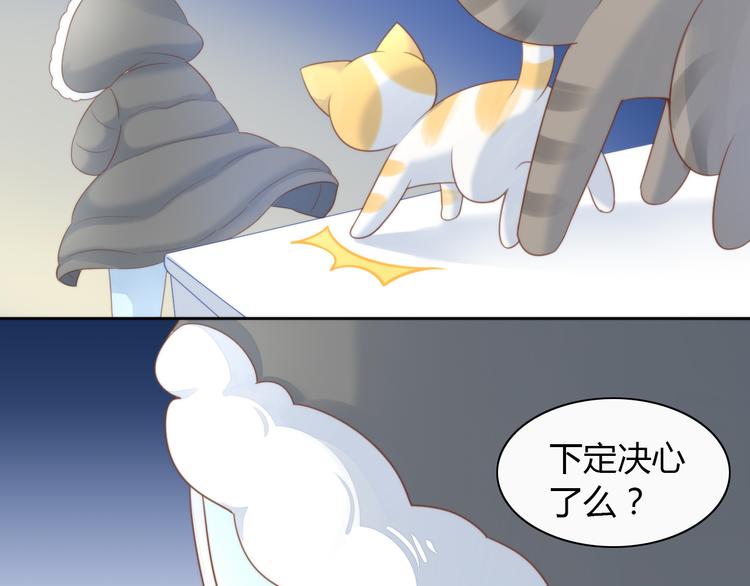 《猫爪之下》漫画最新章节第77话 燃烧你的卡路里免费下拉式在线观看章节第【8】张图片