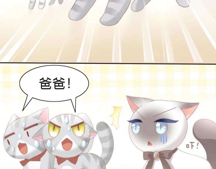 《猫爪之下》漫画最新章节第78话 选美比赛免费下拉式在线观看章节第【75】张图片