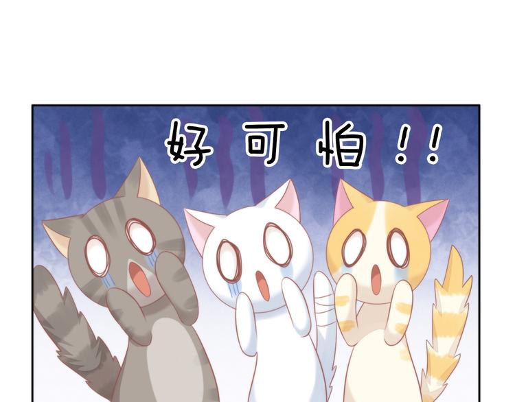 《猫爪之下》漫画最新章节第79话 一只猫的战争免费下拉式在线观看章节第【16】张图片