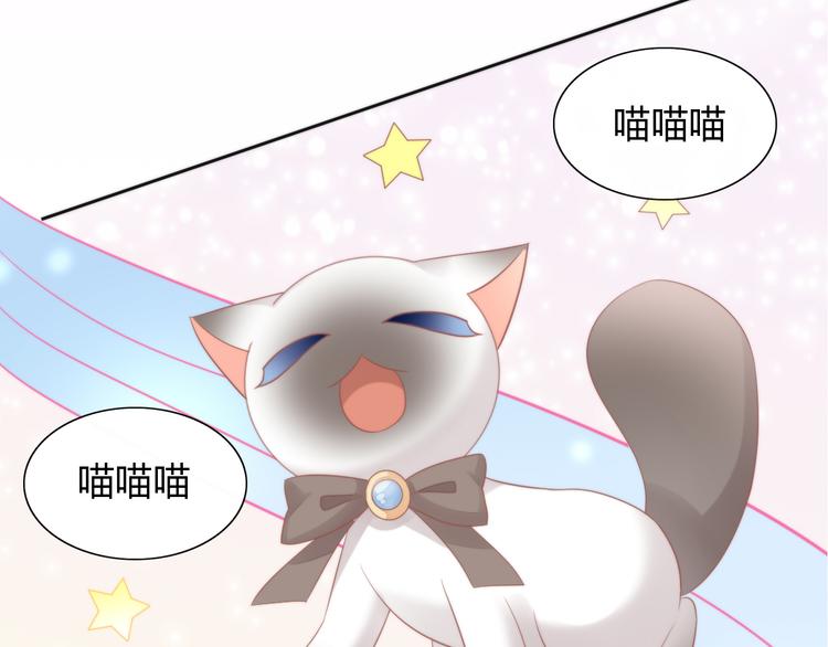 《猫爪之下》漫画最新章节第79话 一只猫的战争免费下拉式在线观看章节第【33】张图片