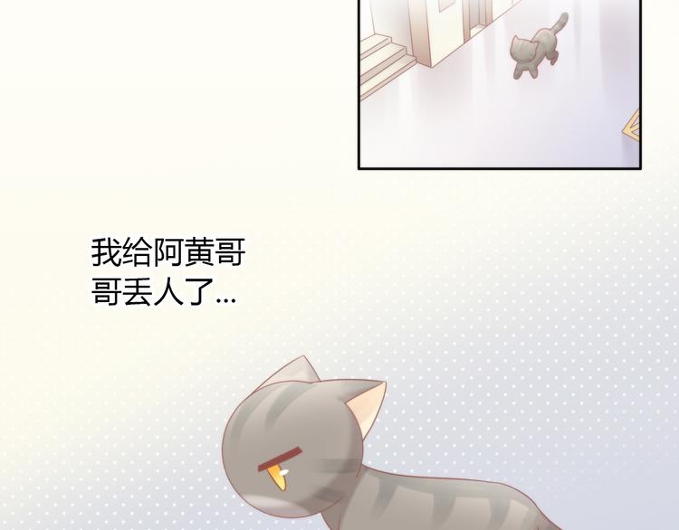 《猫爪之下》漫画最新章节第79话 一只猫的战争免费下拉式在线观看章节第【44】张图片