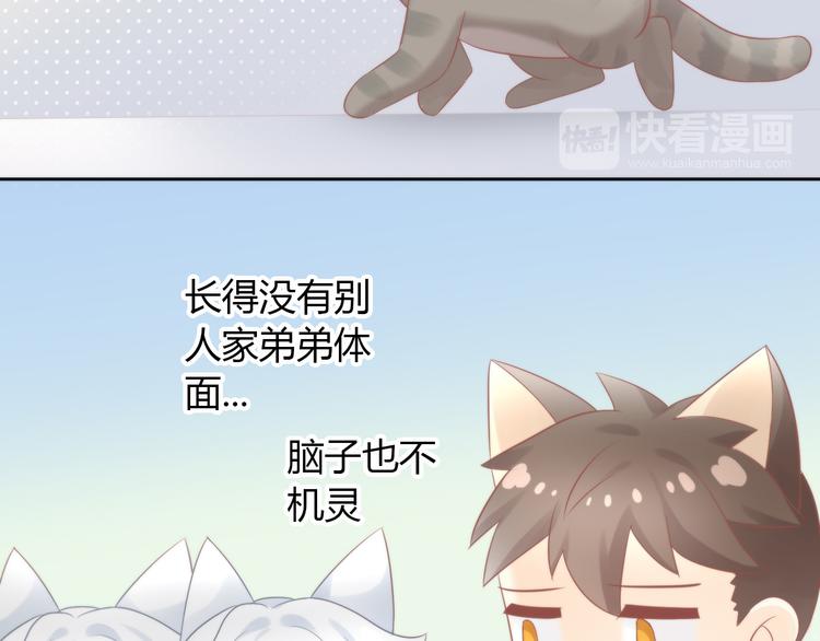 《猫爪之下》漫画最新章节第79话 一只猫的战争免费下拉式在线观看章节第【45】张图片