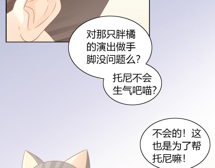 《猫爪之下》漫画最新章节第79话 一只猫的战争免费下拉式在线观看章节第【49】张图片