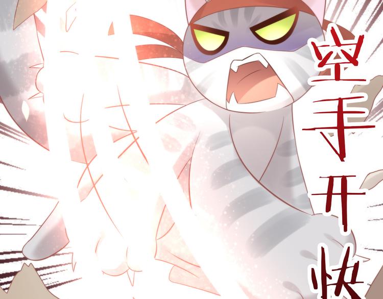 《猫爪之下》漫画最新章节第79话 一只猫的战争免费下拉式在线观看章节第【56】张图片