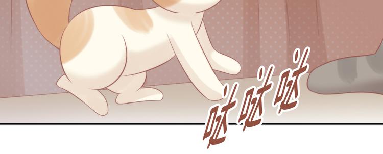 《猫爪之下》漫画最新章节第79话 一只猫的战争免费下拉式在线观看章节第【62】张图片