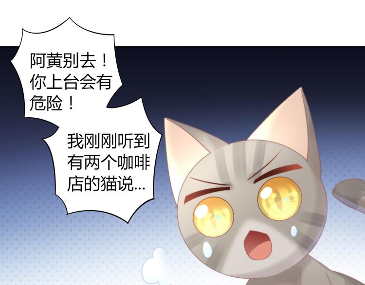 《猫爪之下》漫画最新章节第79话 一只猫的战争免费下拉式在线观看章节第【63】张图片