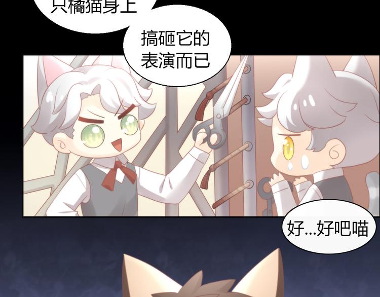 《猫爪之下》漫画最新章节第79话 一只猫的战争免费下拉式在线观看章节第【74】张图片