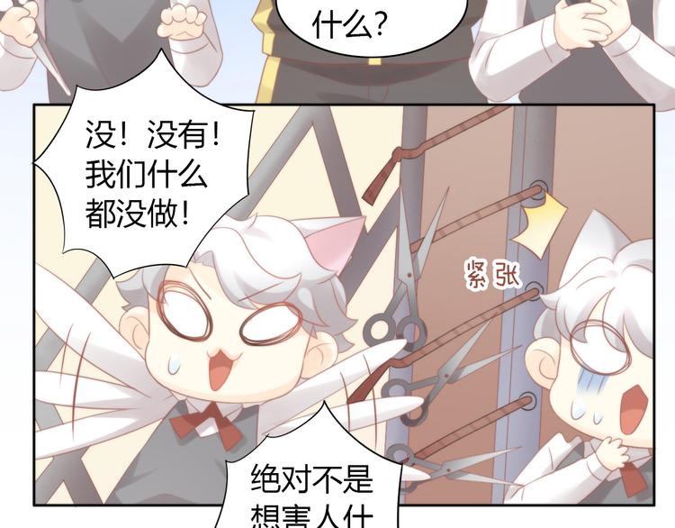 《猫爪之下》漫画最新章节第79话 一只猫的战争免费下拉式在线观看章节第【76】张图片