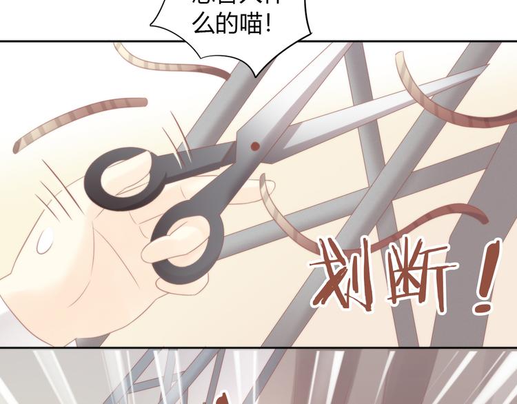 《猫爪之下》漫画最新章节第79话 一只猫的战争免费下拉式在线观看章节第【77】张图片