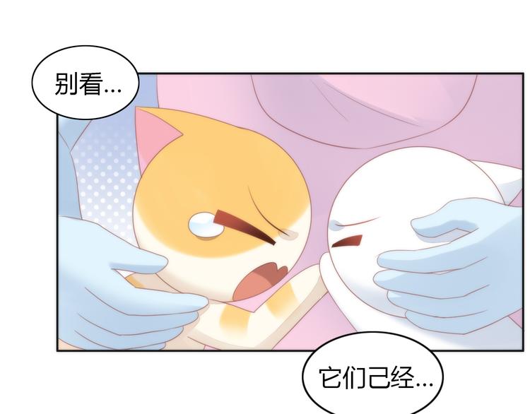 《猫爪之下》漫画最新章节第80话 我要你...免费下拉式在线观看章节第【34】张图片