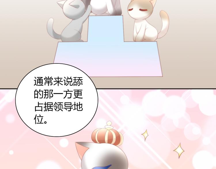 《猫爪之下》漫画最新章节第81话 喜新厌旧免费下拉式在线观看章节第【32】张图片