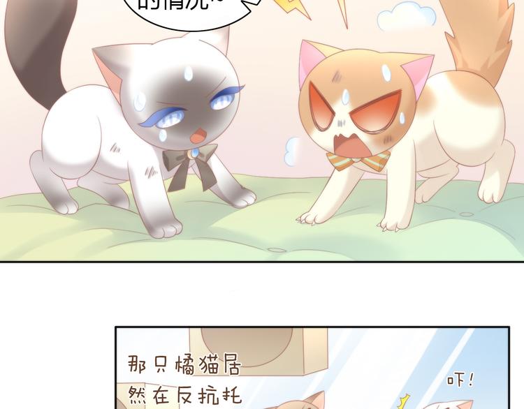 《猫爪之下》漫画最新章节第81话 喜新厌旧免费下拉式在线观看章节第【34】张图片