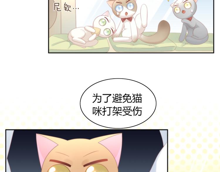 《猫爪之下》漫画最新章节第81话 喜新厌旧免费下拉式在线观看章节第【35】张图片