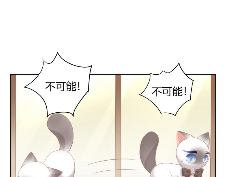 《猫爪之下》漫画最新章节第81话 喜新厌旧免费下拉式在线观看章节第【55】张图片