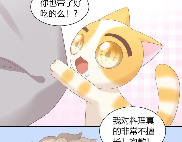 《猫爪之下》漫画最新章节第83话 岁岁年年有今朝免费下拉式在线观看章节第【60】张图片