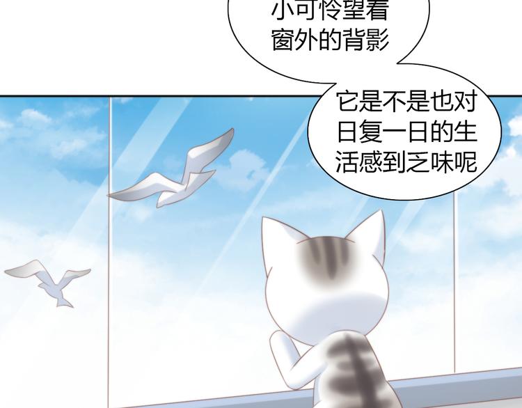 《猫爪之下》漫画最新章节第84话 亲爱的你免费下拉式在线观看章节第【52】张图片