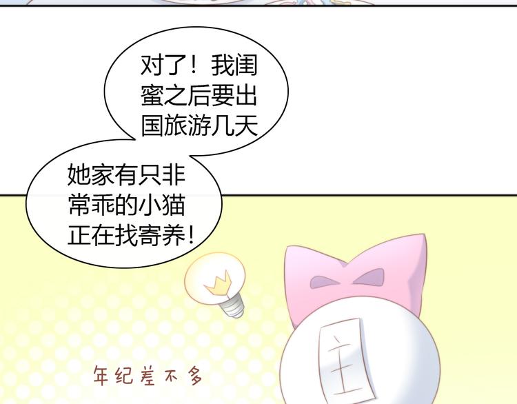 《猫爪之下》漫画最新章节第84话 亲爱的你免费下拉式在线观看章节第【55】张图片