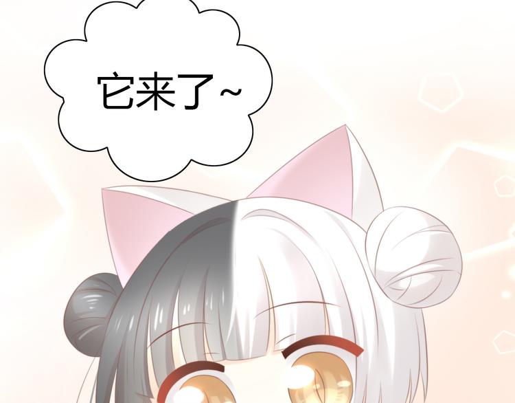 《猫爪之下》漫画最新章节第85话 新伙伴？！免费下拉式在线观看章节第【13】张图片