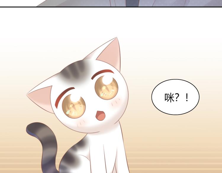 《猫爪之下》漫画最新章节第85话 新伙伴？！免费下拉式在线观看章节第【21】张图片