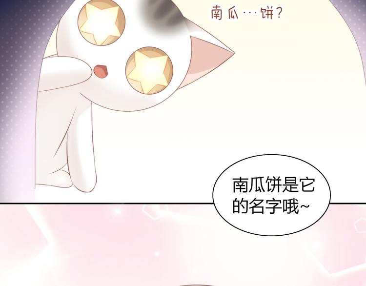 《猫爪之下》漫画最新章节第85话 新伙伴？！免费下拉式在线观看章节第【24】张图片