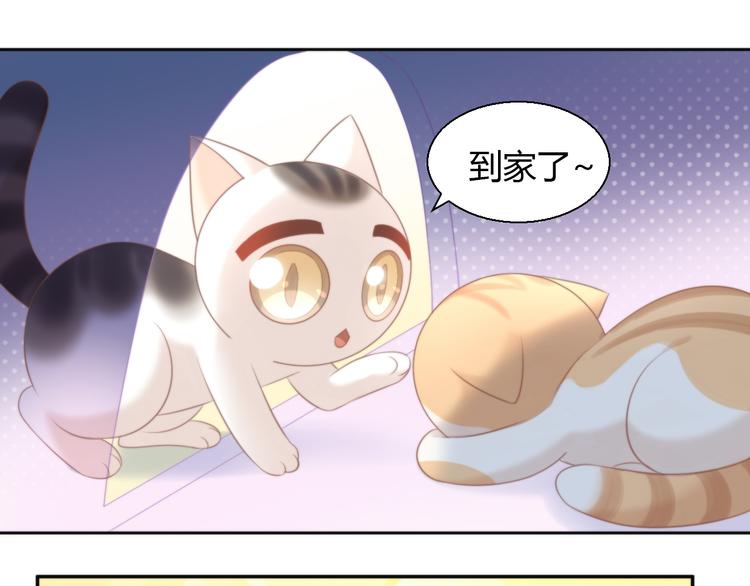 《猫爪之下》漫画最新章节第85话 新伙伴？！免费下拉式在线观看章节第【27】张图片