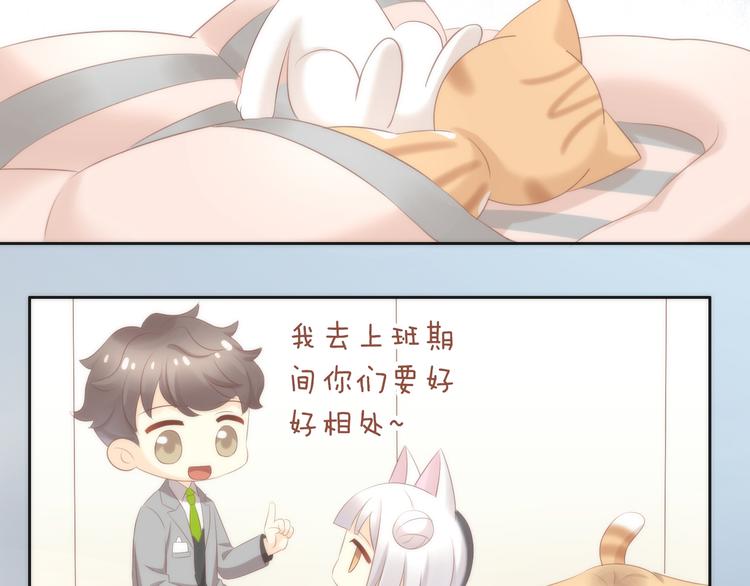 《猫爪之下》漫画最新章节第87话  你不是王子！免费下拉式在线观看章节第【25】张图片