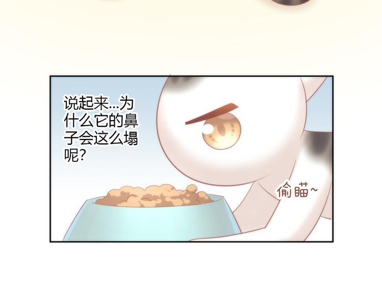 《猫爪之下》漫画最新章节第87话  你不是王子！免费下拉式在线观看章节第【31】张图片