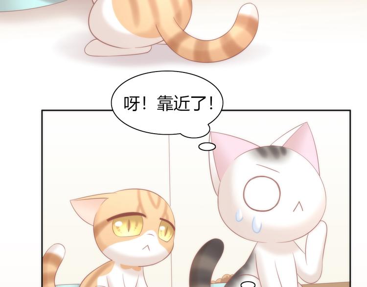 《猫爪之下》漫画最新章节第87话  你不是王子！免费下拉式在线观看章节第【35】张图片