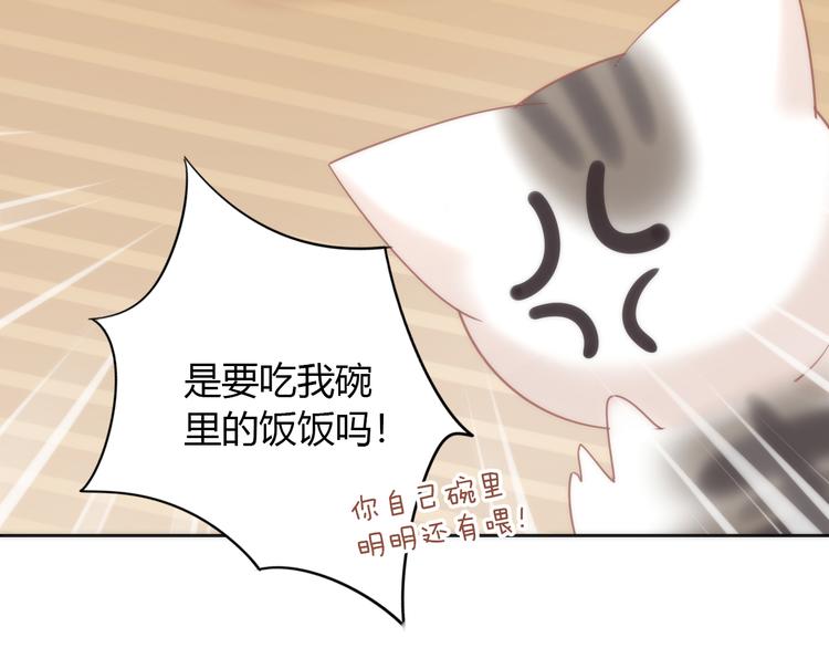 《猫爪之下》漫画最新章节第87话  你不是王子！免费下拉式在线观看章节第【37】张图片