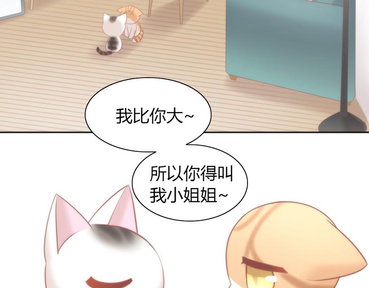 《猫爪之下》漫画最新章节第87话  你不是王子！免费下拉式在线观看章节第【39】张图片