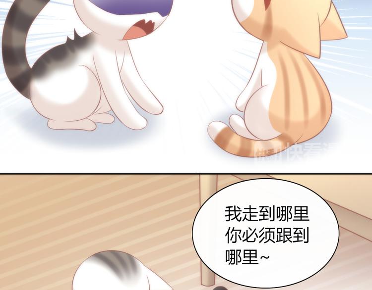 《猫爪之下》漫画最新章节第87话  你不是王子！免费下拉式在线观看章节第【44】张图片