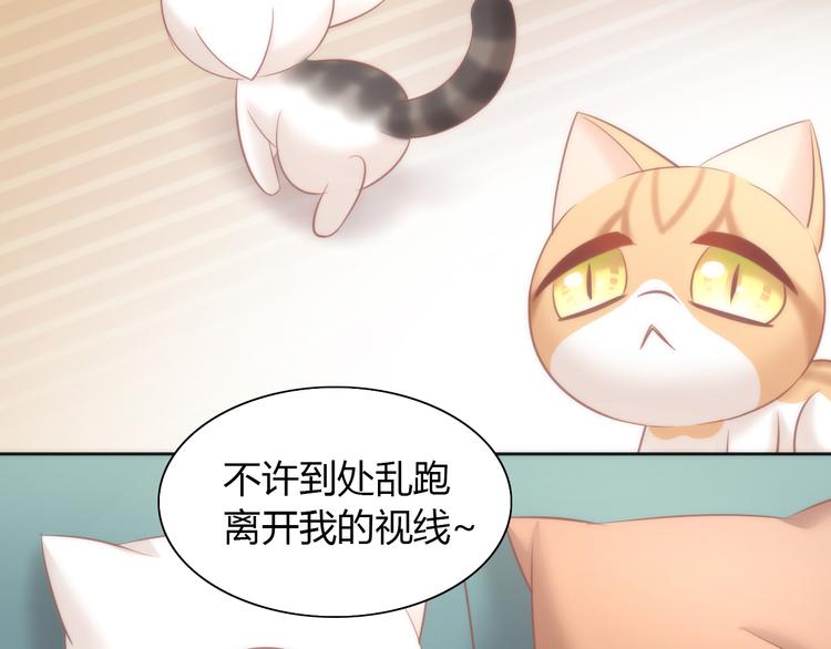 《猫爪之下》漫画最新章节第87话  你不是王子！免费下拉式在线观看章节第【45】张图片