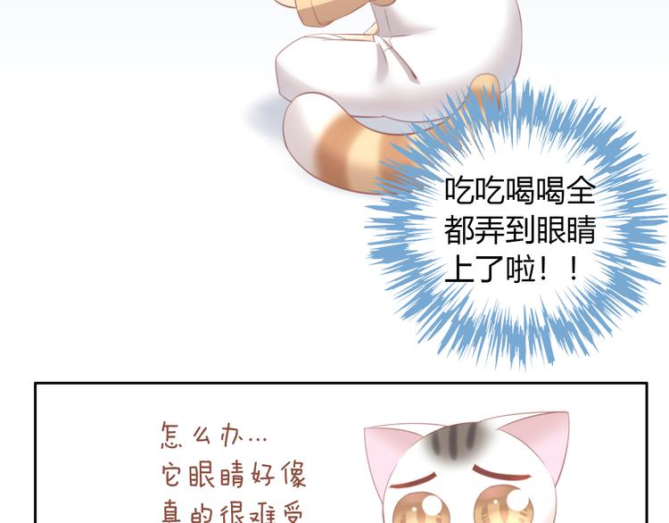 《猫爪之下》漫画最新章节第87话  你不是王子！免费下拉式在线观看章节第【61】张图片